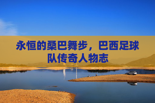 永恒的桑巴舞步,巴西足球队传奇人物志