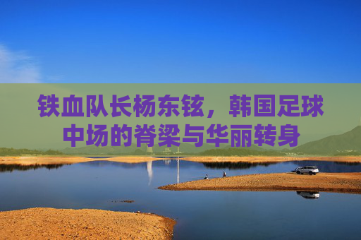 铁血队长杨东铉,韩国足球中场的脊梁与华丽转身