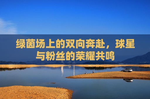 绿茵场上的双向奔赴,球星与粉丝的荣耀共鸣