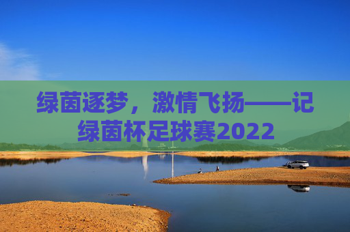 绿茵逐梦，激情飞扬——记绿茵杯足球赛2022