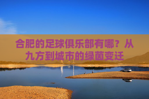 合肥的足球俱乐部有哪？从九方到城市的绿茵变迁