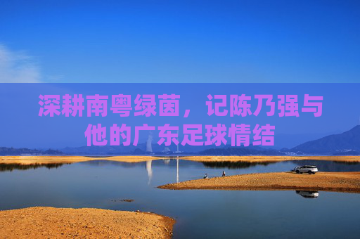 深耕南粤绿茵,记陈乃强与他的广东足球情结