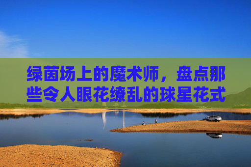 绿茵场上的魔术师,盘点那些令人眼花缭乱的球星花式视频