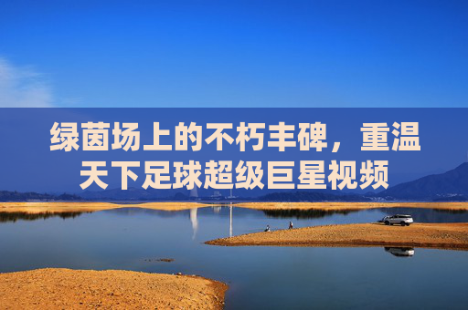 绿茵场上的不朽丰碑,重温天下足球超级巨星视频