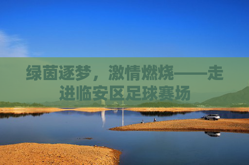 绿茵逐梦,激情燃烧——走进临安区足球赛场