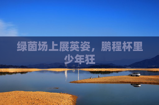 绿茵场上展英姿，鹏程杯里少年狂