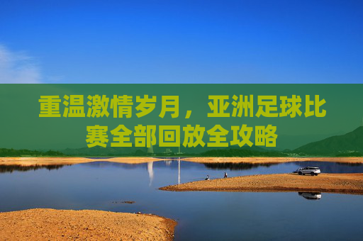 重温激情岁月,亚洲足球比赛全部回放全攻略