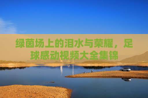 绿茵场上的泪水与荣耀,足球感动视频大全集锦