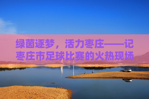绿茵逐梦，活力枣庄——记枣庄市足球比赛的火热现场