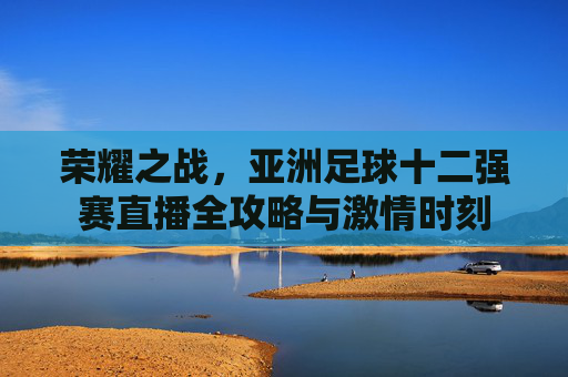 荣耀之战，亚洲足球十二强赛直播全攻略与激情时刻