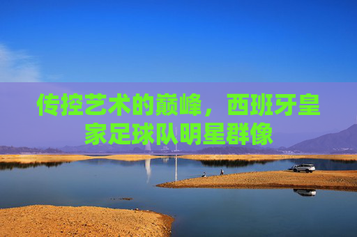 传控艺术的巅峰,西班牙皇家足球队明星群像