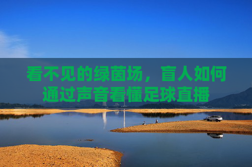 看不见的绿茵场，盲人如何通过声音看懂足球直播