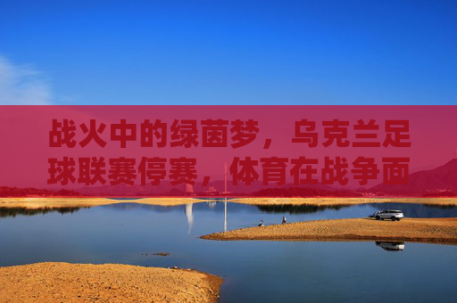 战火中的绿茵梦,乌克兰足球联赛停赛,体育在战争面前的无奈与坚守