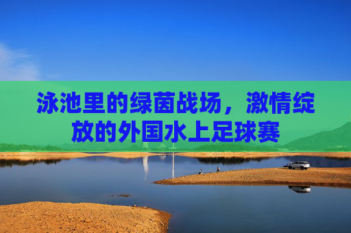泳池里的绿茵战场,激情绽放的外国水上足球赛