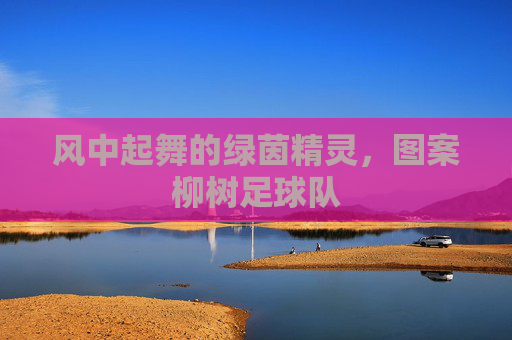 风中起舞的绿茵精灵,图案柳树足球队