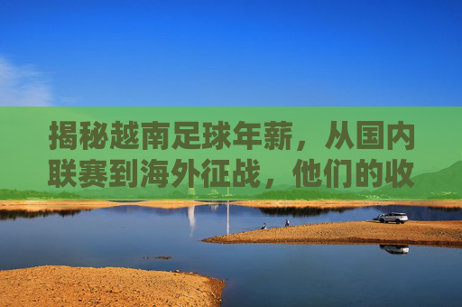 揭秘越南足球年薪,从国内联赛到海外征战,他们的收入究竟是多少?