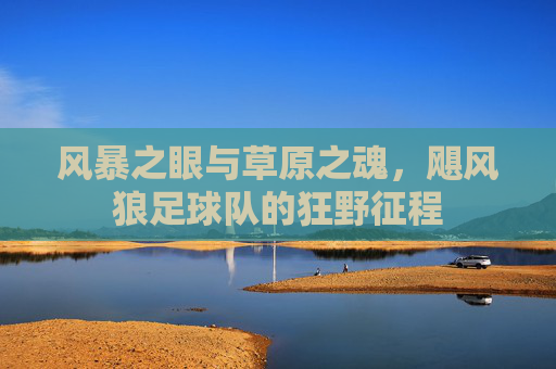 风暴之眼与草原之魂，飓风狼足球队的狂野征程
