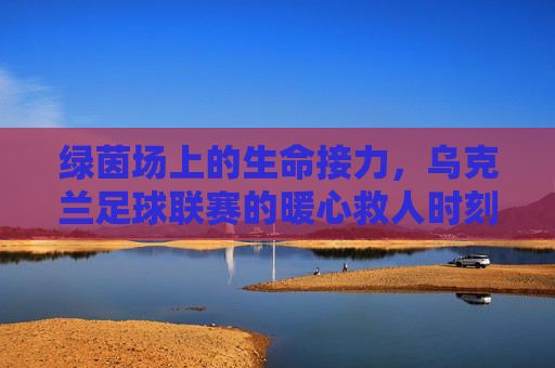 绿茵场上的生命接力,乌克兰足球联赛的暖心救人时刻
