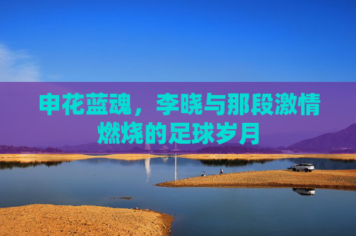申花蓝魂,李晓与那段激情燃烧的足球岁月