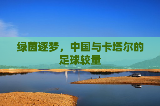 绿茵逐梦,中国与卡塔尔的足球较量