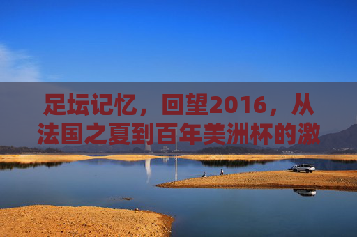 足坛记忆,回望2016,从法国之夏到百年美洲杯的激情岁月