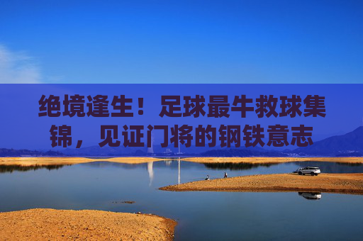 绝境逢生!足球最牛救球集锦,见证门将的钢铁意志