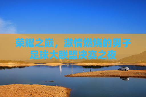 荣耀之巅，激情燃烧的男子足球大联盟决赛之夜