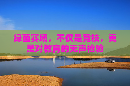 绿茵赛场,不仅是竞技,更是对教育的无声检验