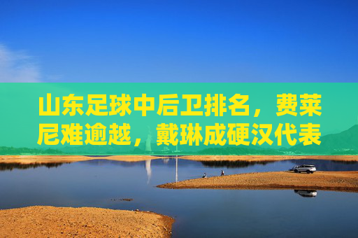 山东足球中后卫排名,费莱尼难逾越,戴琳成硬汉代表,谁是泰山队史第一铁闸?