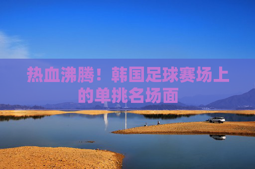 热血沸腾!韩国足球赛场上的单挑名场面