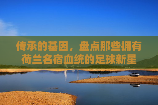 传承的基因，盘点那些拥有荷兰名宿血统的足球新星