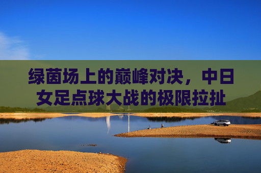 绿茵场上的巅峰对决,中日女足点球大战的极限拉扯