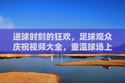 进球时刻的狂欢,足球观众庆祝视频大全,重温球场上的热血沸腾