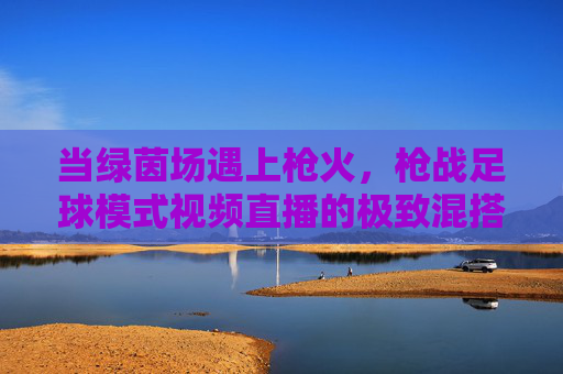 当绿茵场遇上枪火,枪战足球模式视频直播的极致混搭体验