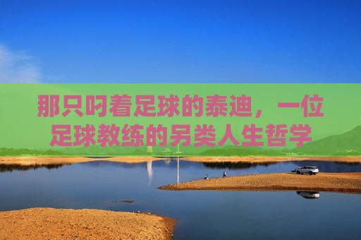 那只叼着足球的泰迪,一位足球教练的另类人生哲学