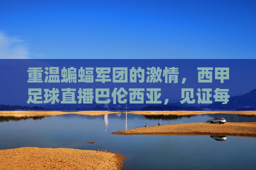 重温蝙蝠军团的激情,西甲足球直播巴伦西亚,见证每一场荣耀时刻