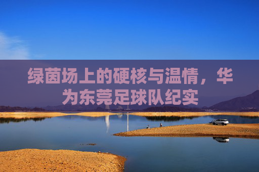 绿茵场上的硬核与温情,华为东莞足球队纪实