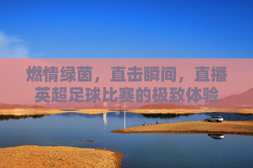 燃情绿茵,直击瞬间,直播英超足球比赛的极致体验