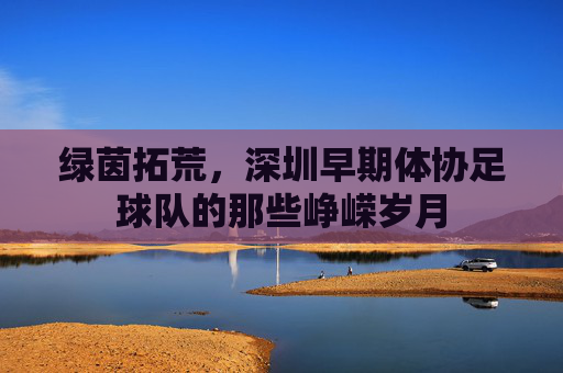 绿茵拓荒,深圳早期体协足球队的那些峥嵘岁月