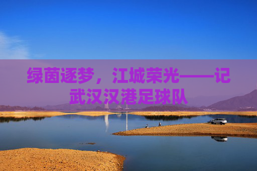 绿茵逐梦,江城荣光——记武汉汉港足球队