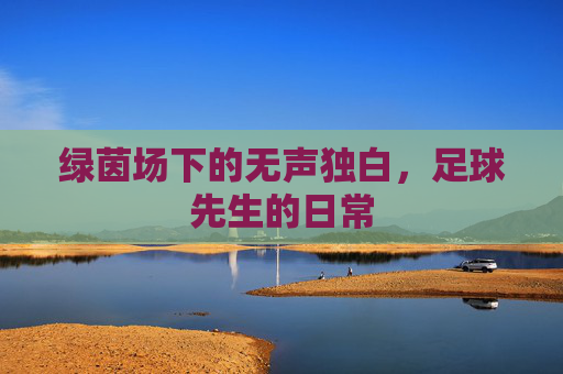 绿茵场下的无声独白,足球先生的日常