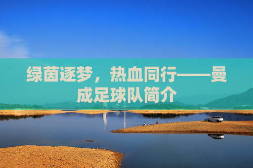绿茵逐梦,热血同行——曼成足球队简介