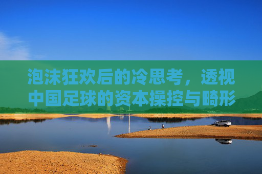 泡沫狂欢后的冷思考,透视中国足球的资本操控与畸形繁荣