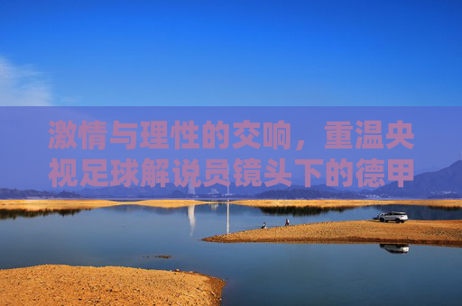 激情与理性的交响,重温央视足球解说员镜头下的德甲风云