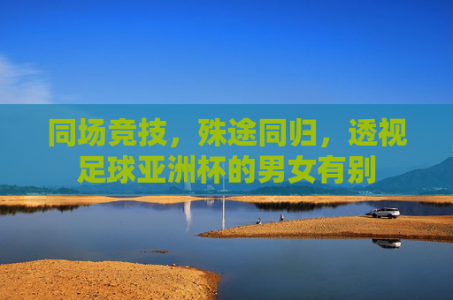 同场竞技,殊途同归,透视足球亚洲杯的男女有别