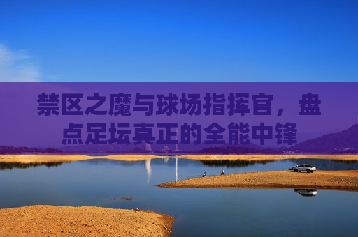 禁区之魔与球场指挥官,盘点足坛真正的全能中锋
