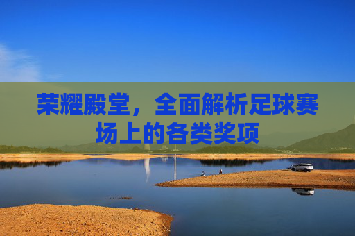 荣耀殿堂,全面解析足球赛场上的各类奖项