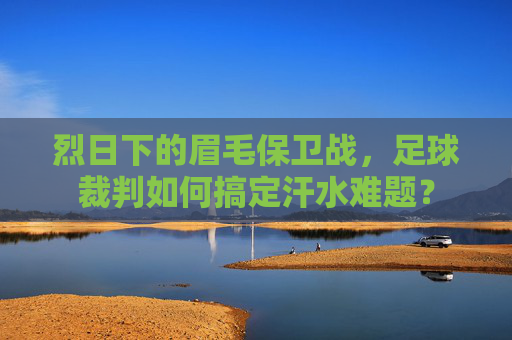 烈日下的眉毛保卫战,足球裁判如何搞定汗水难题?