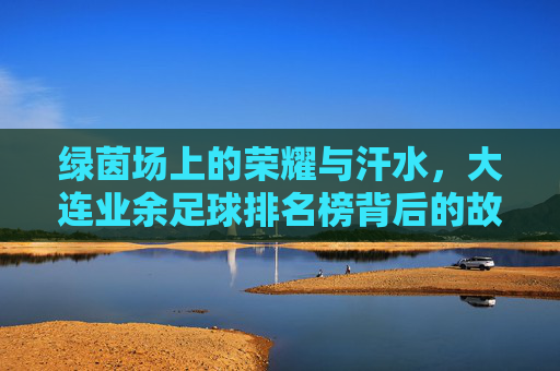 绿茵场上的荣耀与汗水,大连业余足球排名榜背后的故事