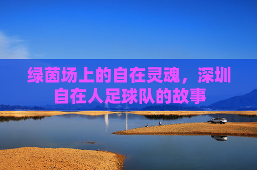 绿茵场上的自在灵魂,深圳自在人足球队的故事
